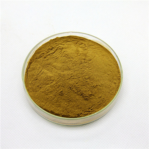 Bacopa Monnieri Powder Extract, Packaging Size: 1 - 5 Kg
