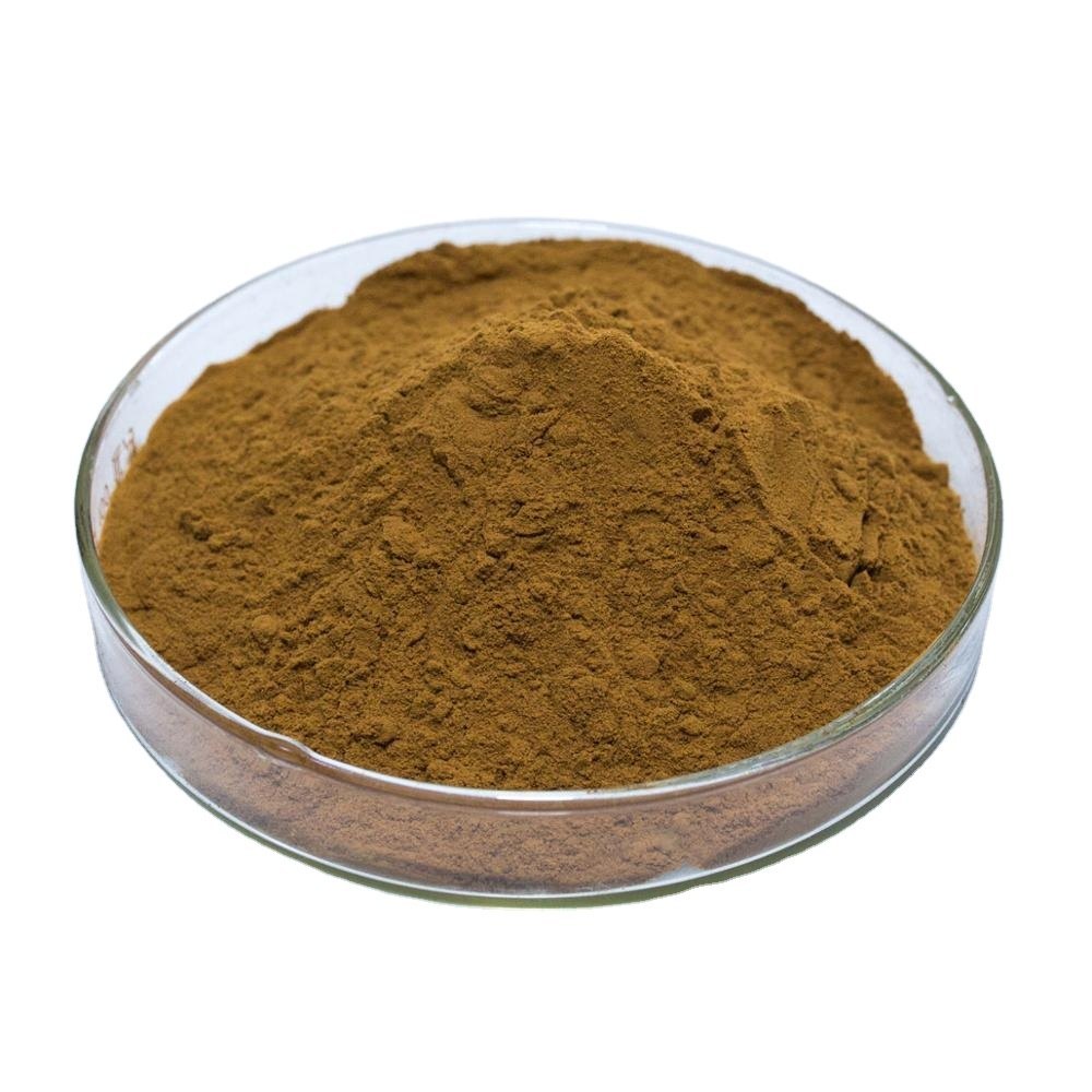 Bacopa Monnieri Dry Extract Powder, Packaging Type: Loose