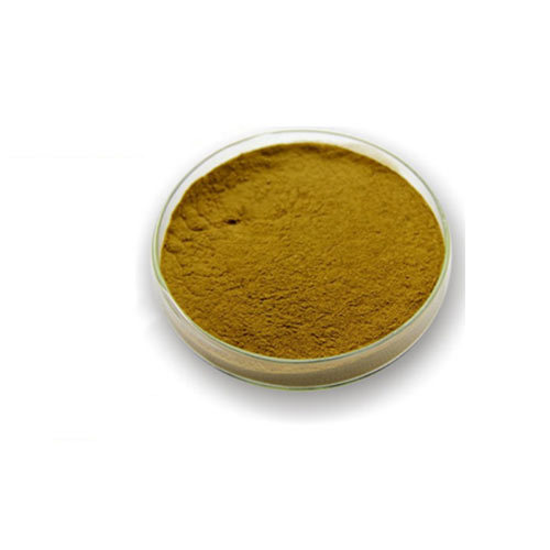 Andrographis Paniculate Extract