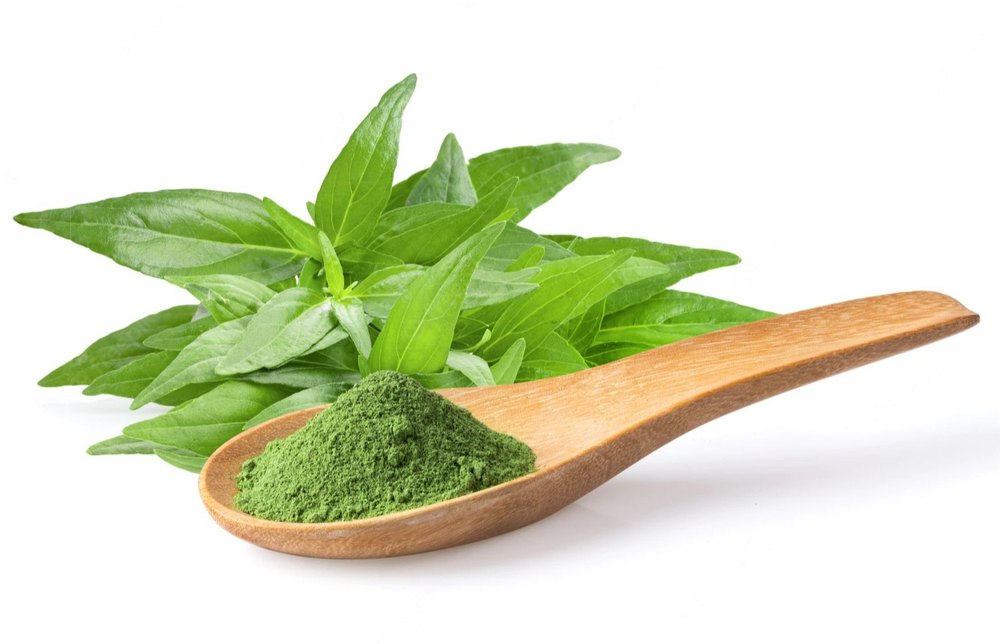 Green Andrographis Paniculata Extract