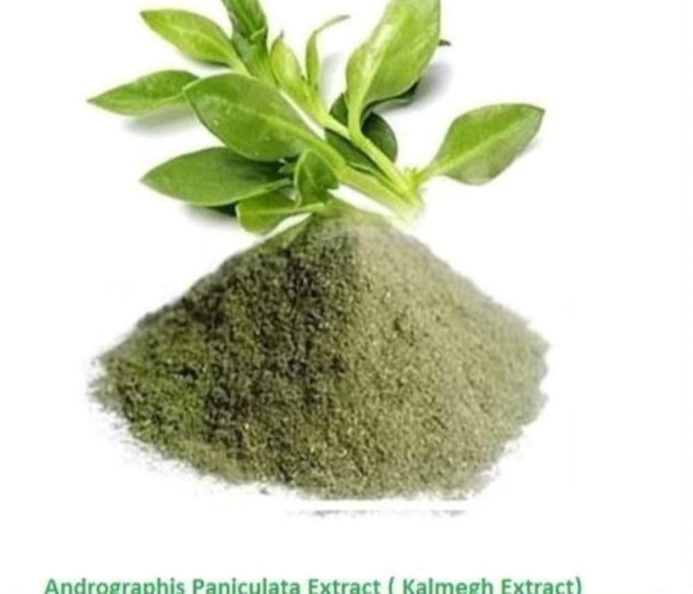 Kalmegh Andrographis Paniculata Extract