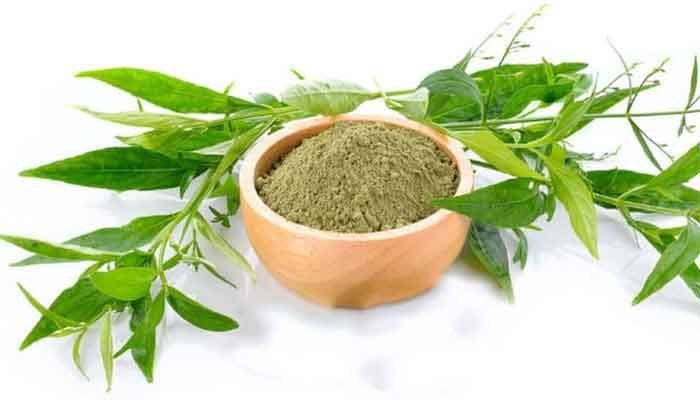 Nilavembu T-cut (Andrographis paniculata) for Health
