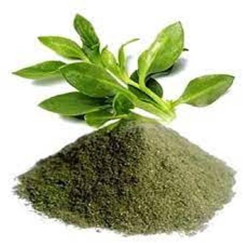 Kalmegh Dry Extract