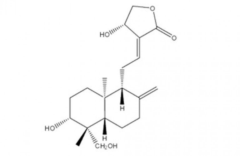 Technical Grade Andrographolide, 1kg 25kg, Packaging Type: Aluminium Pack