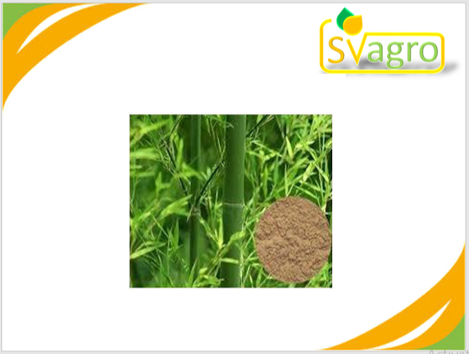 SV Agrofood Bamboo Extract, Packaging Type: Drum