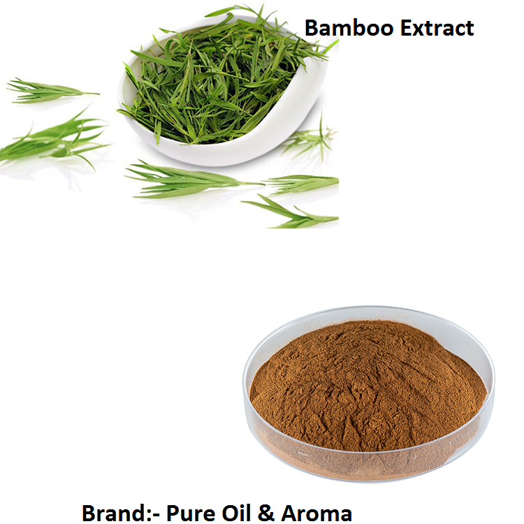 Bamboo Extract