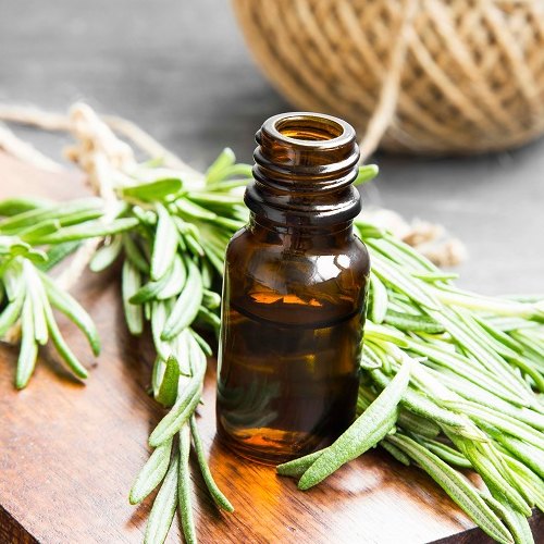 Rosemary Extract