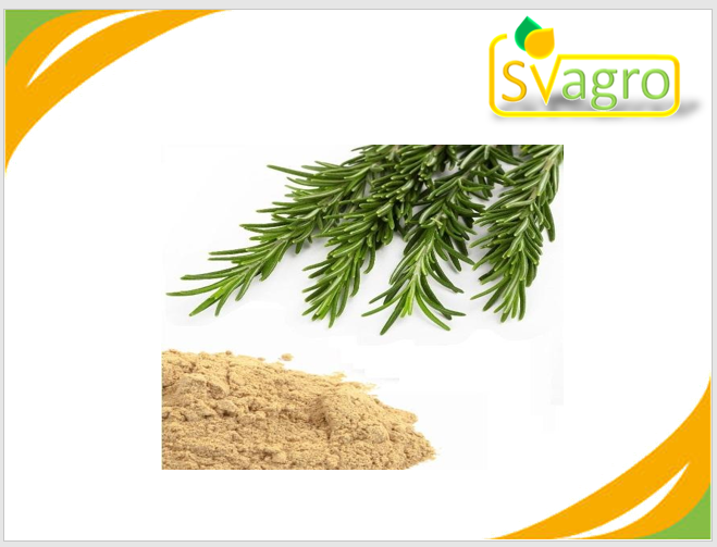 Rosemary extract