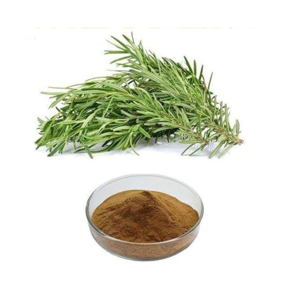 Rosmerry Extracts, Packaging Size: 1-25KG