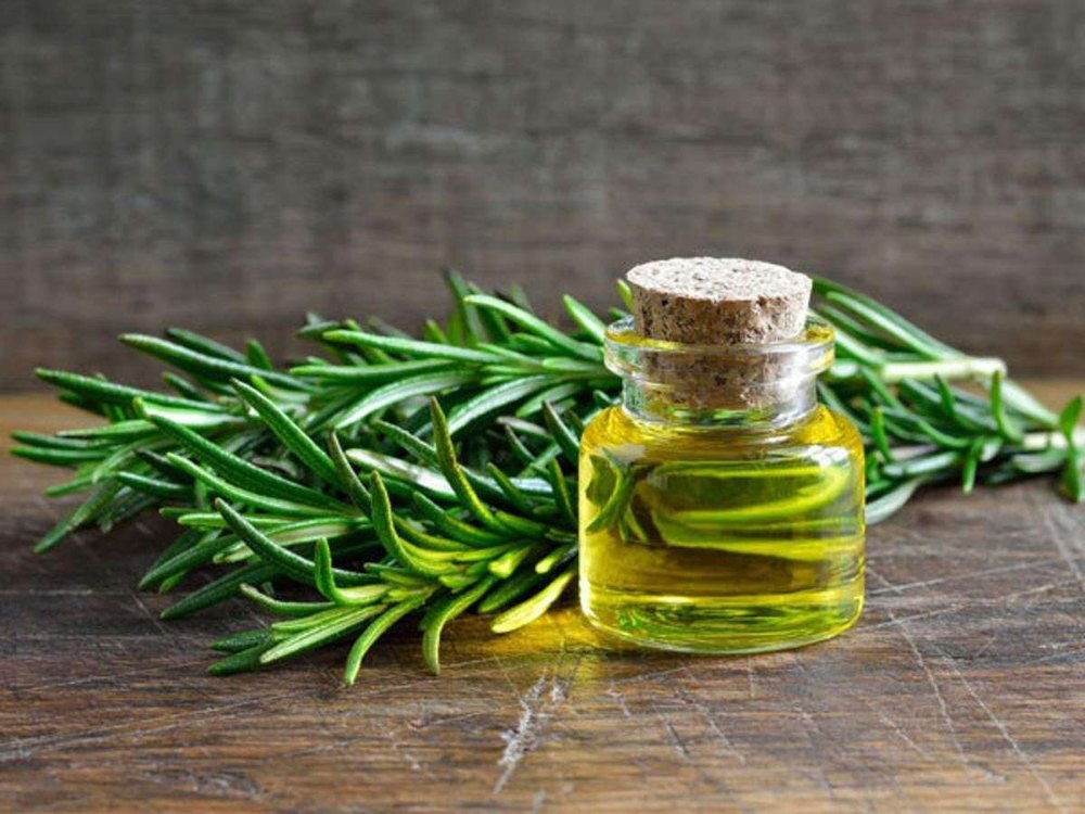 Liquid Rosemary Leaf Extract, Packaging Type: Loose