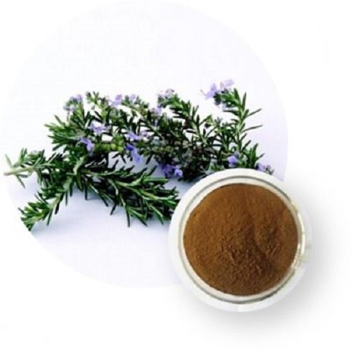 Rosemary Extract