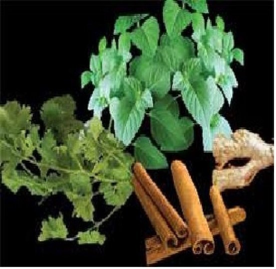 Arni Mool Agnimantha Extract, Packaging Type: Drum, Packaging Size: 25 kg