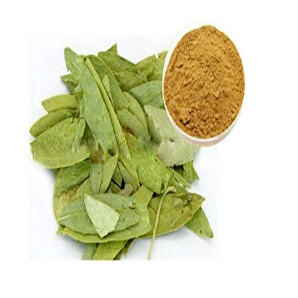 Green Senna Leaf Extract, Packaging Type: Bag, Packaging Size: 1 kg