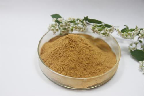 Senna Leaf Extract 10%, For Pharmacutical & Medicine, Cassia angustifolia