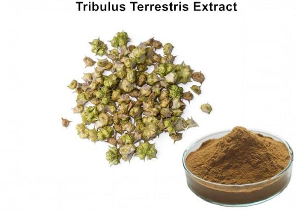Tribulus Extract, For 1 Teaspoon Daily, Withania Somnifera