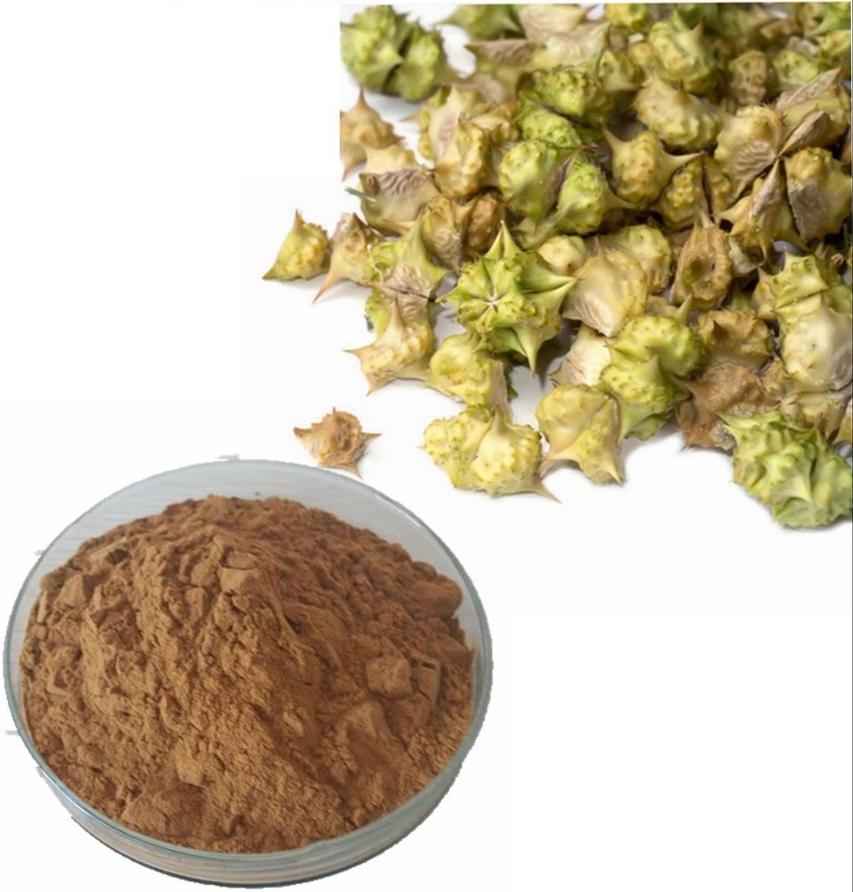 Gokhuru Extract, Packaging Type: Bag