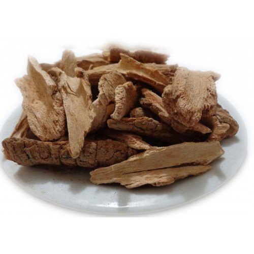 Organic CARALLUMA FIMBRIATA Caralluma Fimbriata