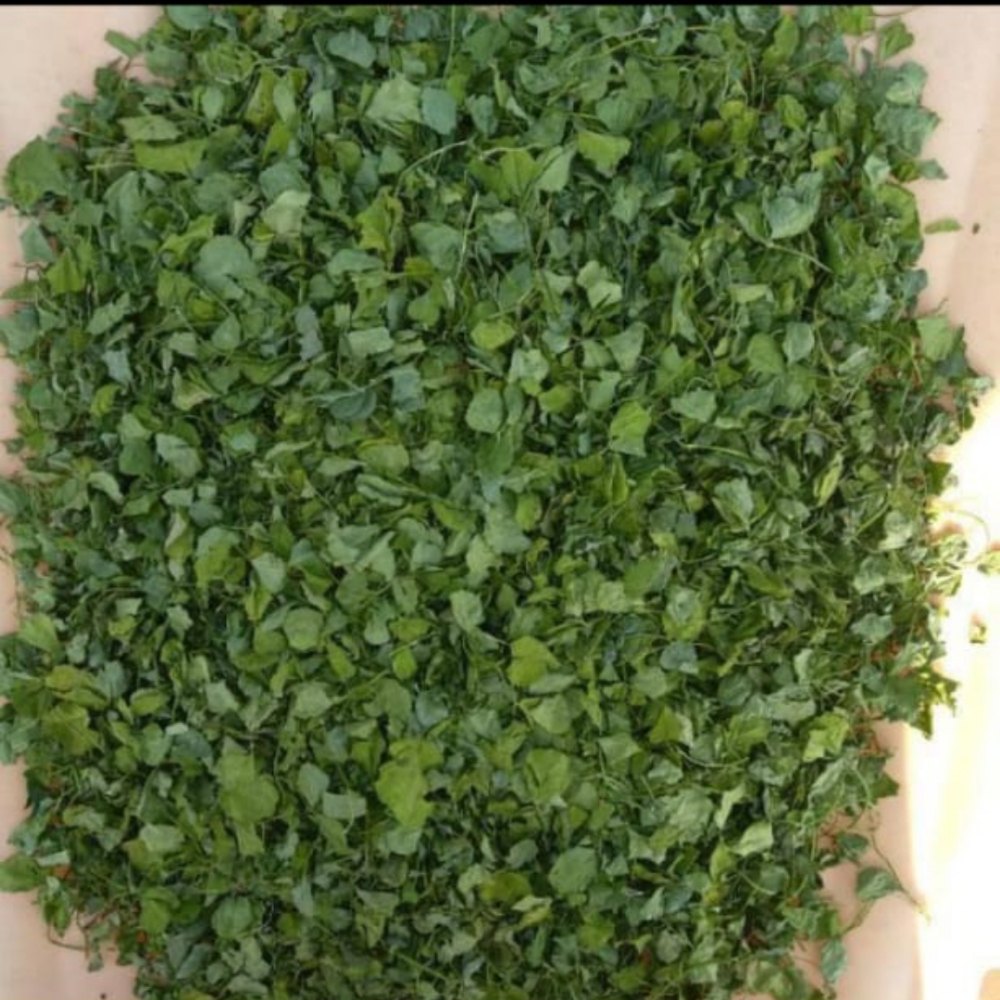 Kashuri Methi Patta, Fenugreek Leaves, Packaging Size: 20 kg