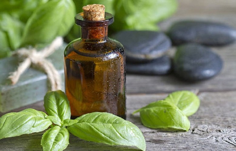 Shikakai Extract, Packaging Type: Aluminim Bottle, Packaging Size: 1 Kg