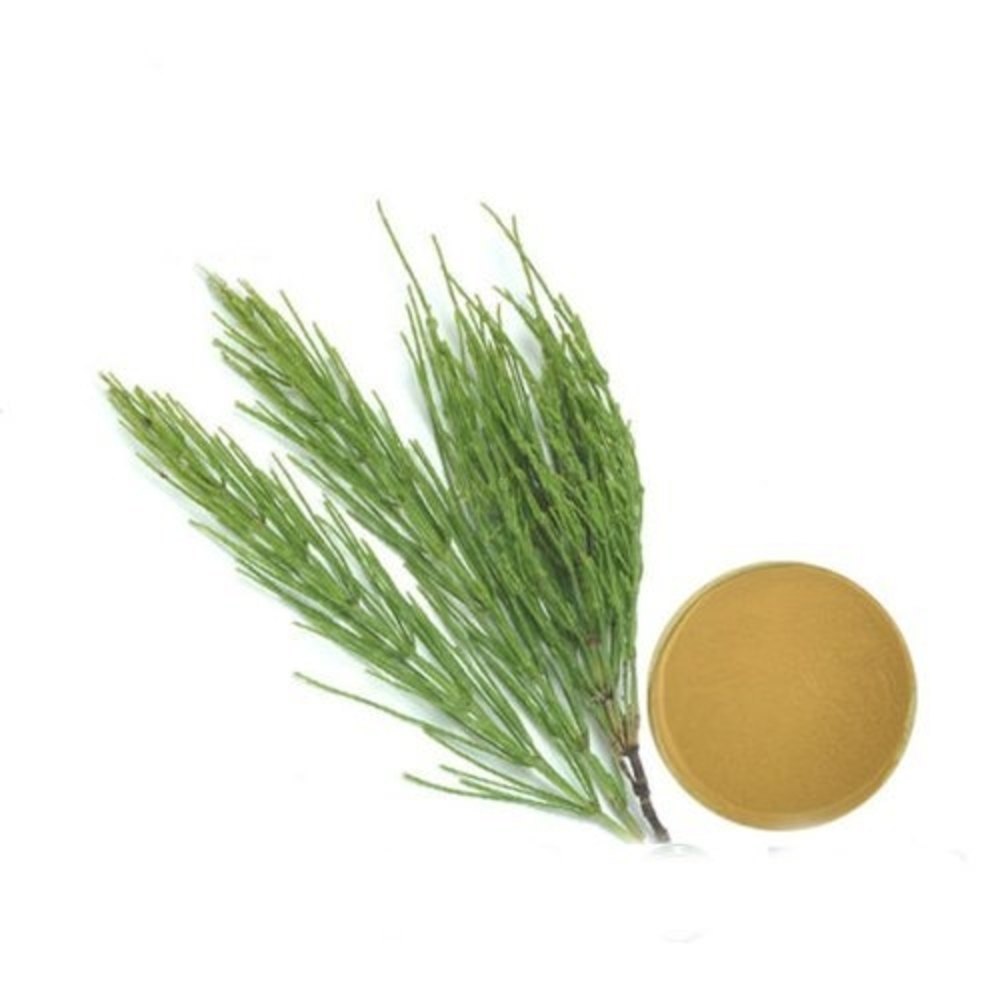 Horsetail Dry Extract, Packaging Size: 25 Kg