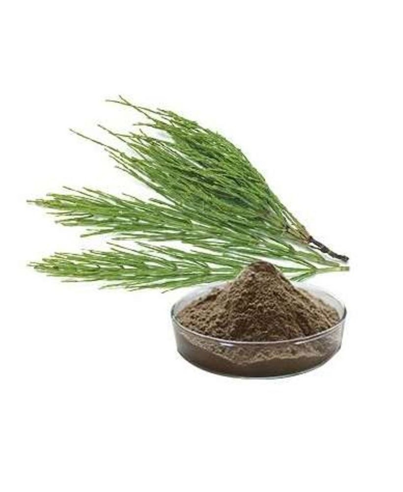 Horsetail Extract