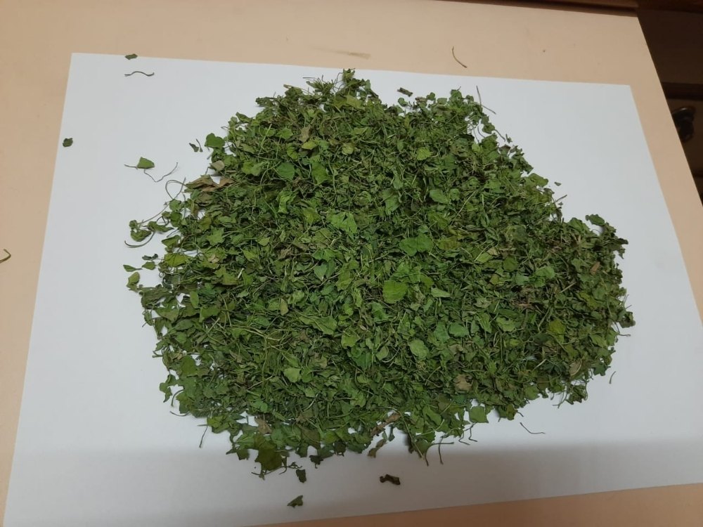 Green Dried Fenugreek Leaves (Kasuri Methi), Packaging Size: 12 kg, Packaging: Packet