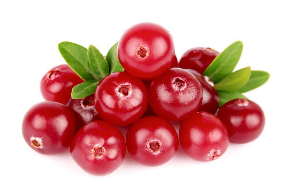 Red Cranberry Extract Powder, Packaging Size: 25 kg