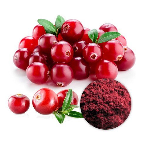 Cranberry Extract Powder, Packaging Type: HDPE Drums, Packaging Size: 25 Kg