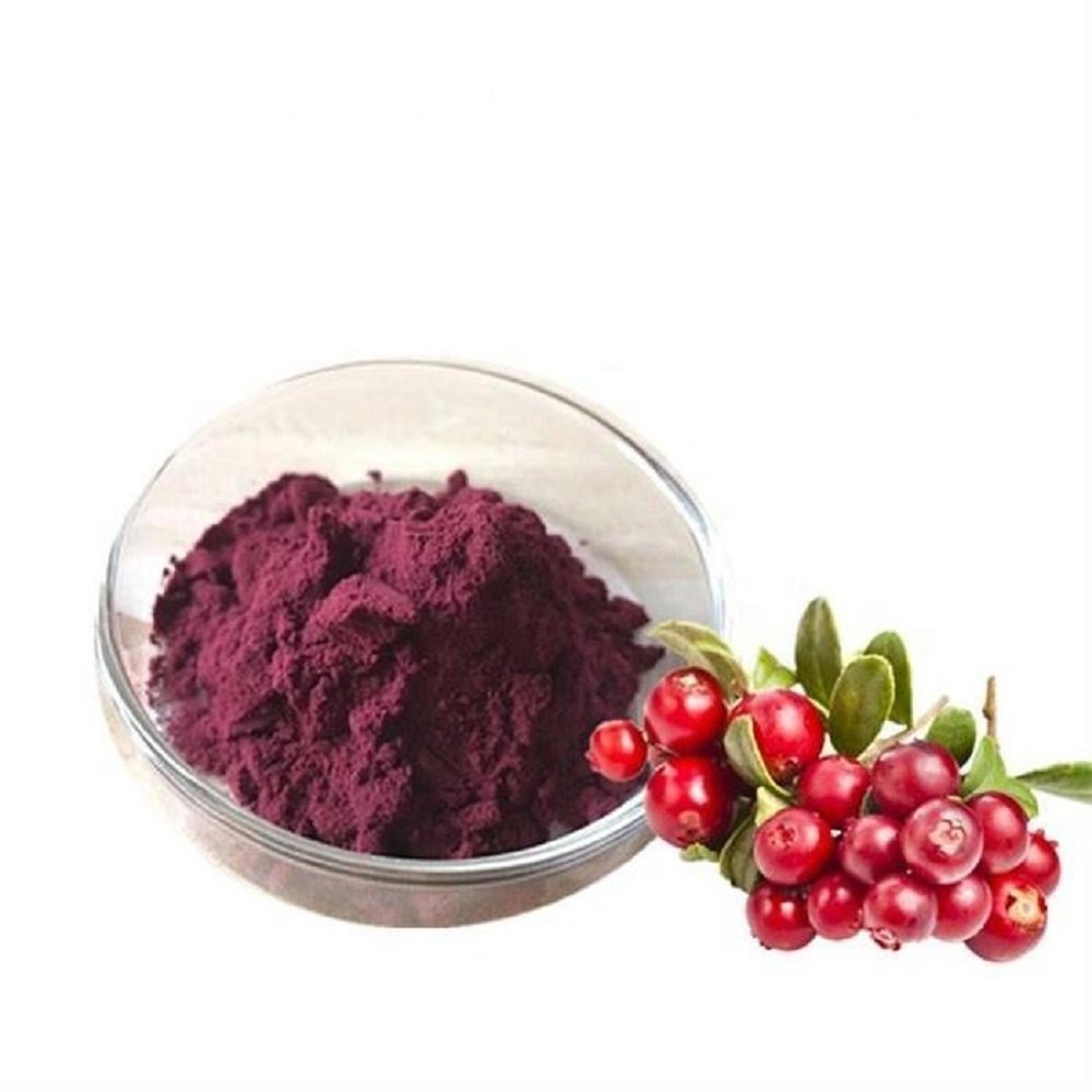 Red Cranberry Extract Powder, Packaging Size: Loose