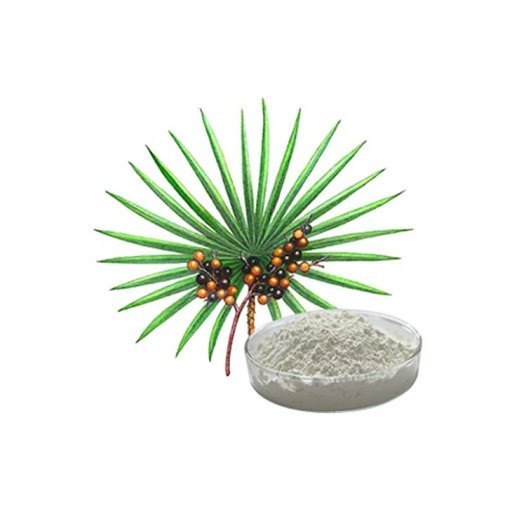 Saw Palmetto Dry Extract 45% (Serenoa Serrulate)