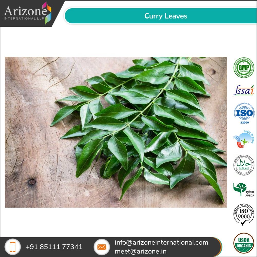 Leaves Curry Leaf