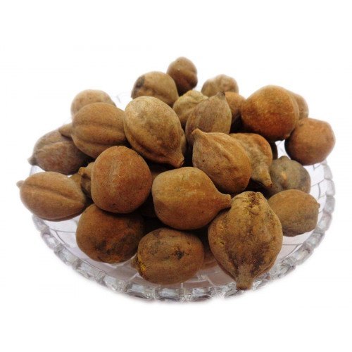 Dry Baheda Fruit , Terminalia Bellirica , Barro, Bedda Nut Tree , Bibhitaki
