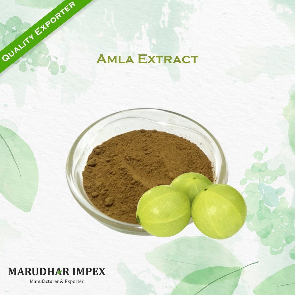 Amla Extract Emblica Officinalis, Packaging Type: Packet