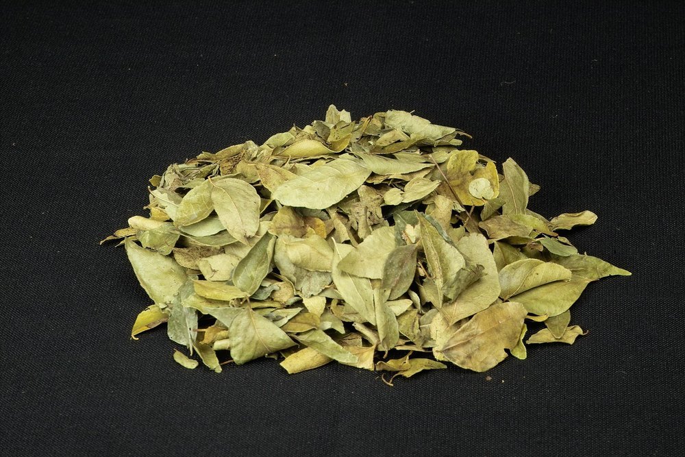 Curry Leaf