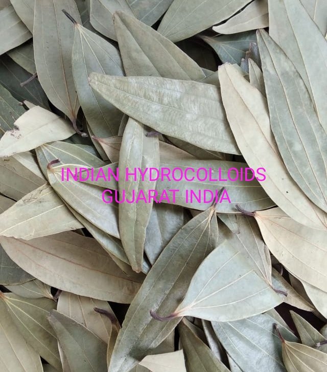 Curry Leaves