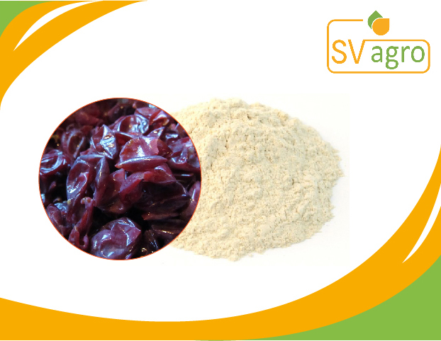 Resveratrol 98% Extract