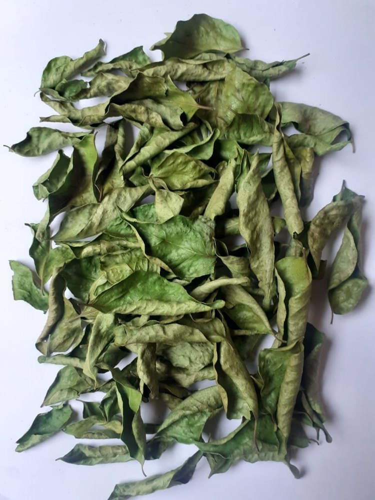 Natural Strong A Grade Dried / Dehydrated Curry Leaves, PP Bag, Packaging Size: 10 Kg