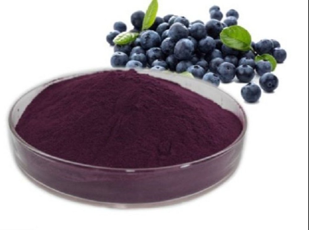 Vaccinium Myrtillus L Dark Brown Bilberry Herbal Extract, Form: Powder, Packaging Size: 1 kg To 25 kg
