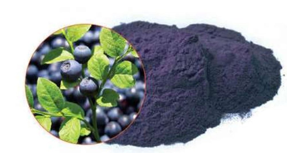 Biliberry Extracts, Packaging Type: Packet