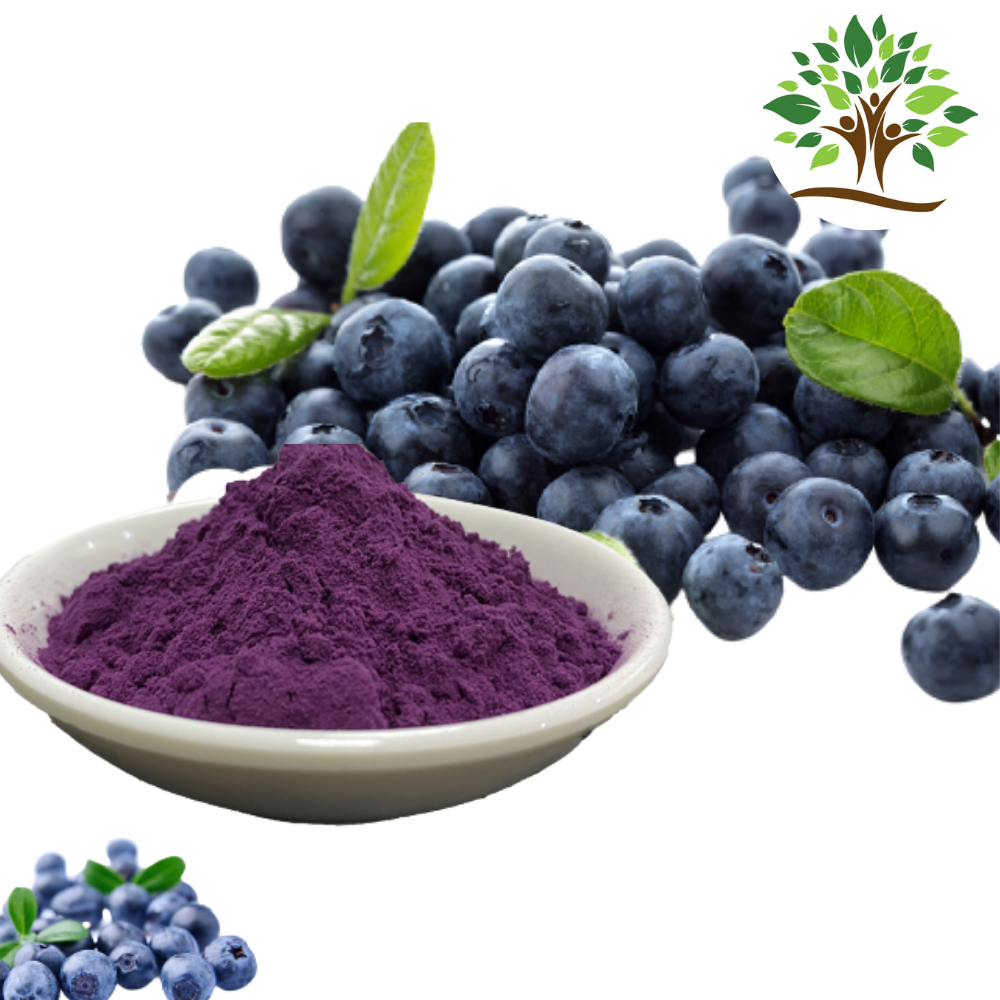 dark blue Blueberry Powder