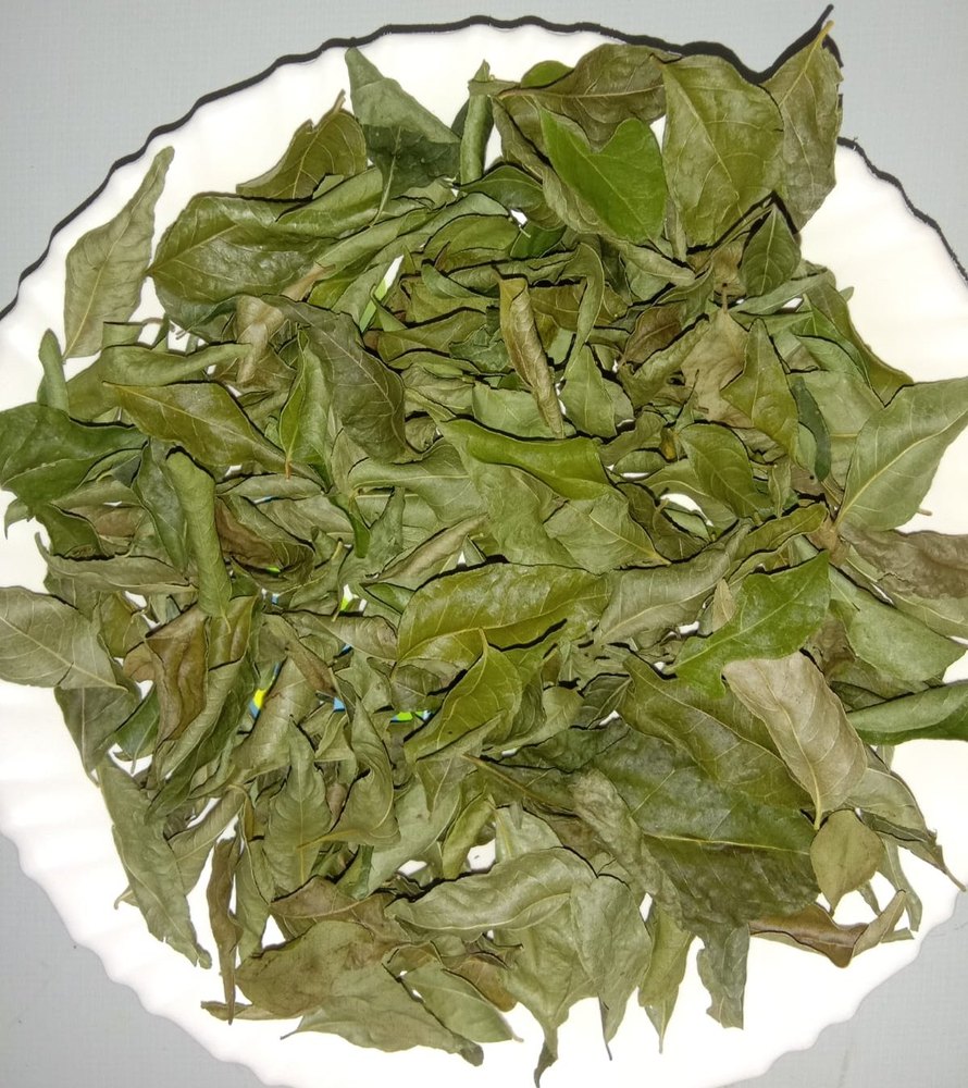 Organic Curry Leaves