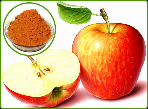 Apple Dry Extract