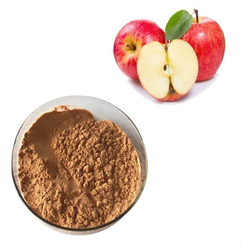 Apple Extract Powder, Packaging Type: HDPE DRUMS, Packaging Size: 25 Kg