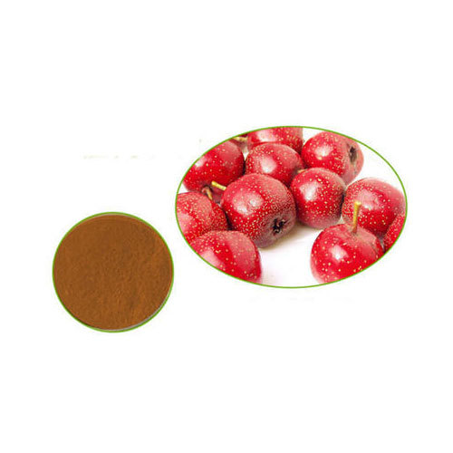 Hawthorn Berry Extract, Packaging Size: 1-25 Kg