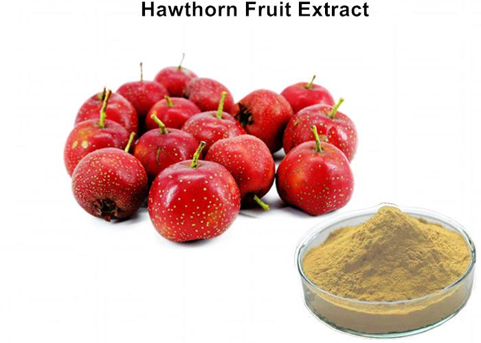 Hawthorn Berry 10:1 Extract 10%