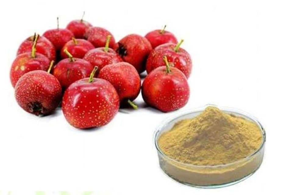 Brown Hawthorn Berry Extracts, Form: Powder, Packaging Type: Packet