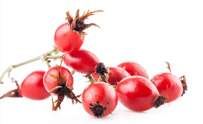 Powder Red Rosehip Extract, For Spray Dried / Sun Dried