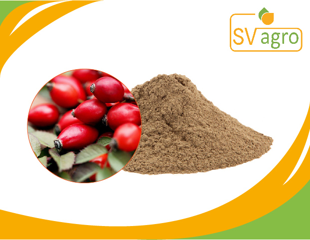 Rose Hip Extract, Packaging Size: 20 Kg