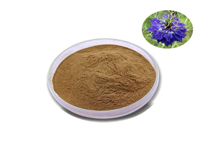 Nigella Sativa Extract
