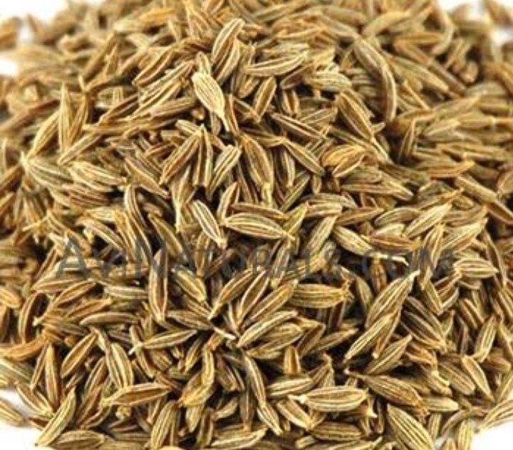 Cumin Seed Extract